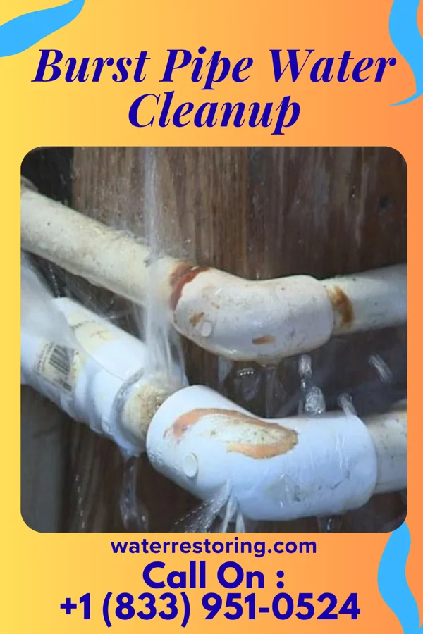 Burst Pipe Water Cleanup in Roff, OK