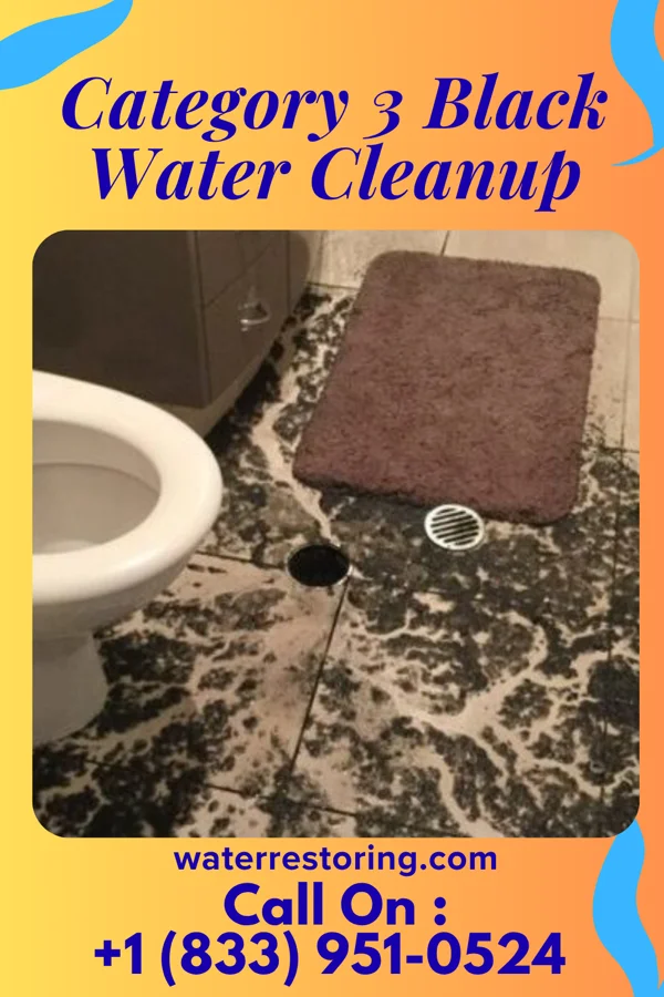 Category 3 Black Water Cleanup in Roff, OK