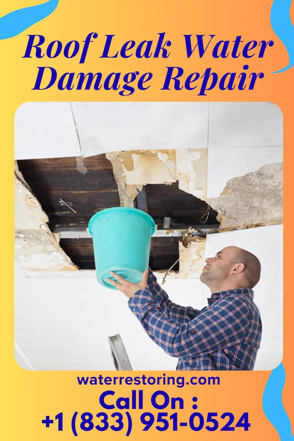 Roof Leak Water Damage Repair in Roff, OK