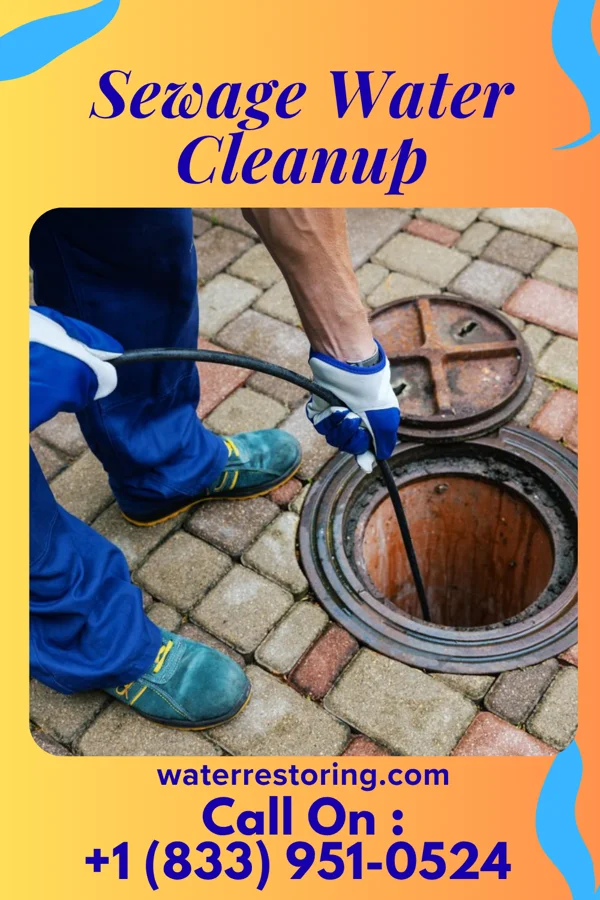 Sewage Water Cleanup in Roff, OK